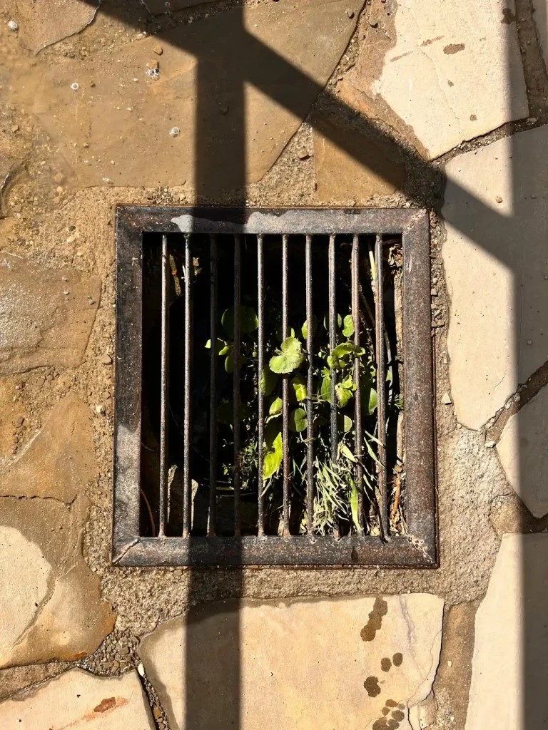 What to Expect During High-Pressure Cleaning for Blocked Drains In Caboolture 